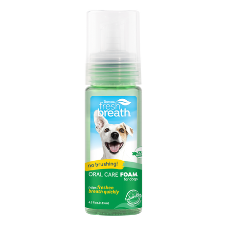 TropiClean Fresh Breath Mint Foam for Dogs, front image of bottle
