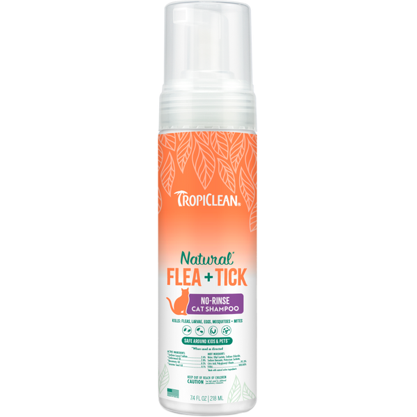 ksotal0ittl8amlgvpyp_grande.