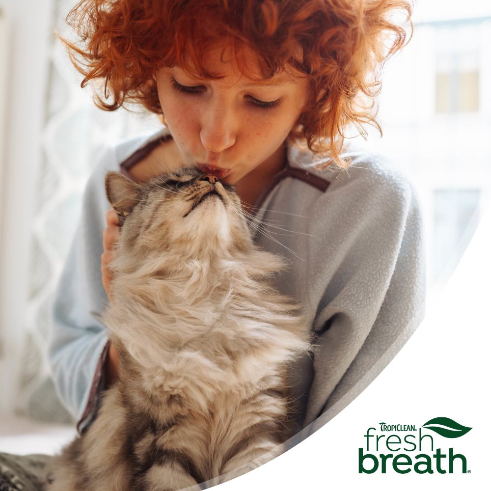 TropiClean Fresh Breath Dental Water Additive + Urinary Tract Support for Cats. Woman with red hair kissing a cat, with TropiClean Fresh Breath logo.