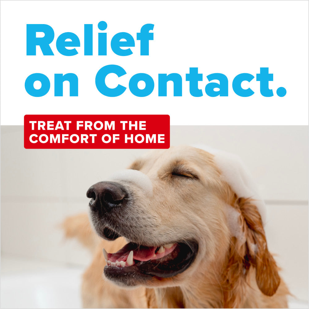 TropiClean OxyMed Allergy Itch Relief Shampoo, 20oz