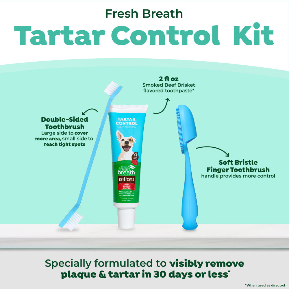 Fresh Breath Enticers Smoked Beef Brisket Oral Care Kit. Dog tartar control kit with toothbrushes and toothpaste on a light green background