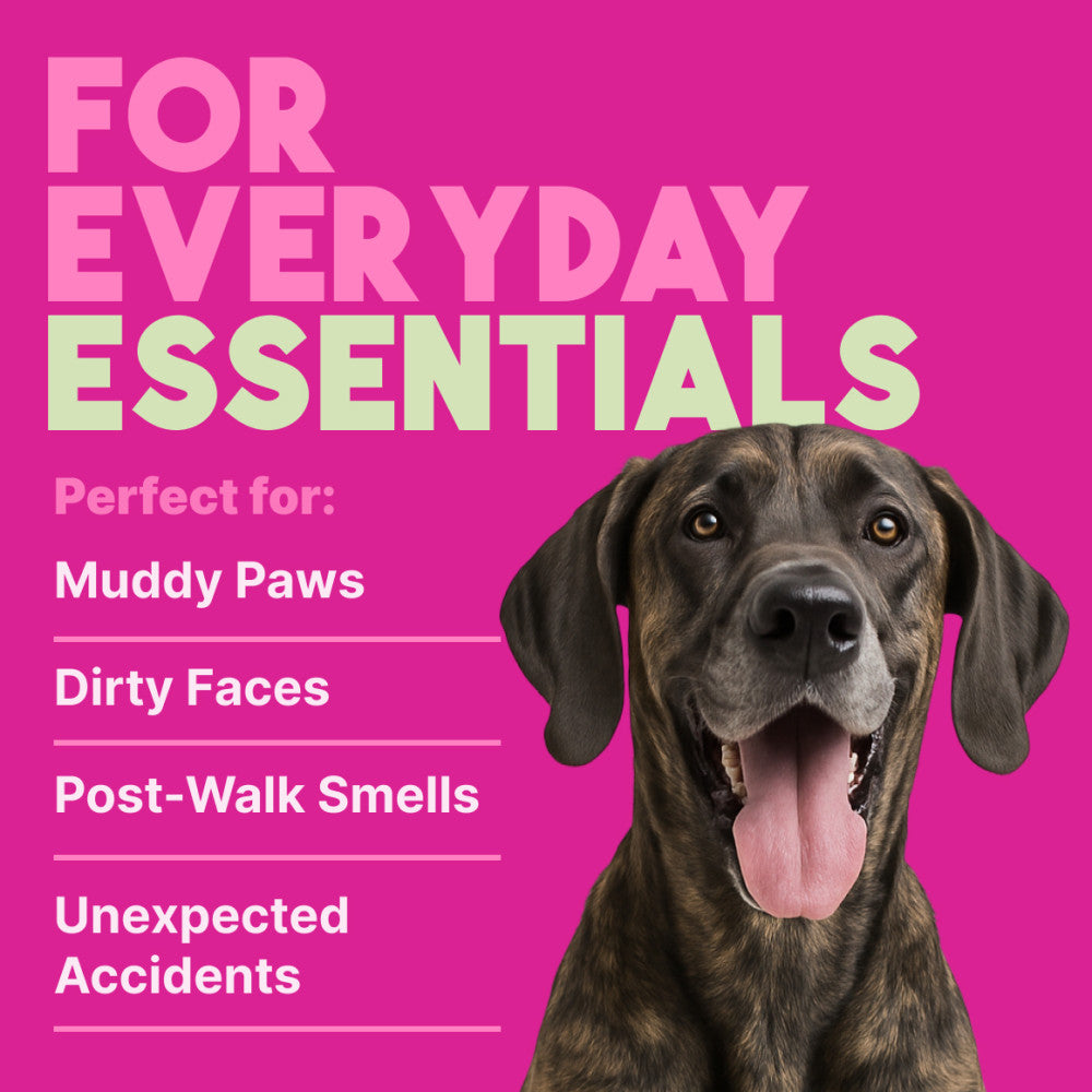 TropiClean Berry & Coconut Deep Cleaning Pet Wipes. Dog with text about everyday essentials for pets.