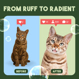 TropiClean Gentle Coconut Hypoallergenic Cat & Kitten Shampoo. Before and after comparison of two cats with text 'From Ruff to Radiant' on a green background.