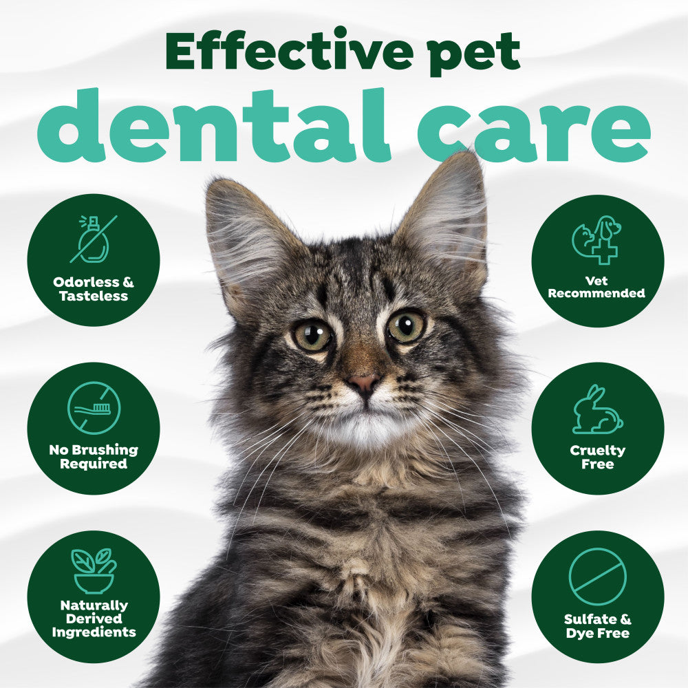 TropiClean Fresh Breath Cat Dental Water Additive Concentrate. Cat with text and icons about effective pet dental care on a white background