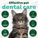 TropiClean Fresh Breath Cat Dental Water Additive Concentrate. Cat with text and icons about effective pet dental care on a white background