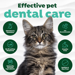 TropiClean Fresh Breath Cat Dental Water Additive Concentrate. Cat with text and icons about effective pet dental care on a white background