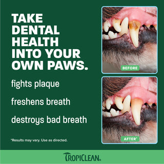 TropiClean Fresh Breath Peanut Butter Plaque & Tartar Control Brushing Kit, 2oz
