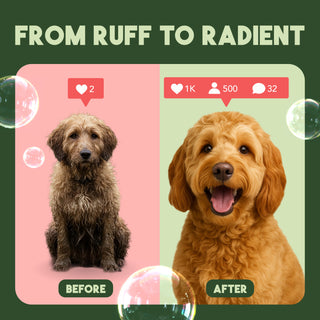 From ruff to radiant.