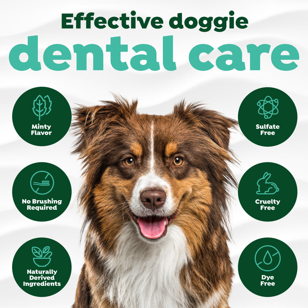 TropiClean Fresh Breath Oral Care Spray for Pets. Dog with dental care product features on a white background