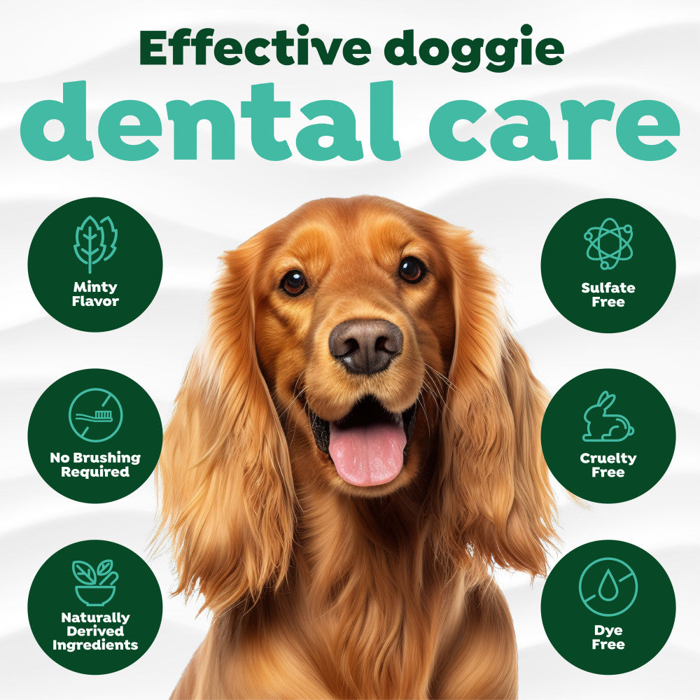 TropiClean Fresh Breath Mint Foam for Dogs. Dog with dental care product features on a white background