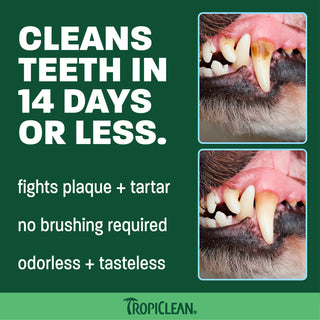 Fresh Breath by TropiClean Oral Care Water Additive for Pets