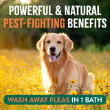 Dog running in a field with text about pest-fighting benefits and flea removal by TropiClean