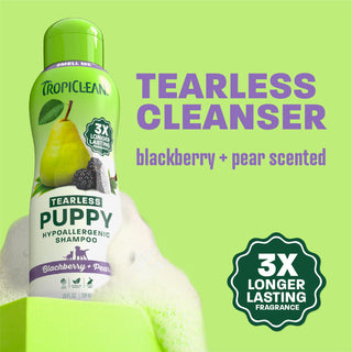 TropiClean blackberry shampoo bottle on light green background.