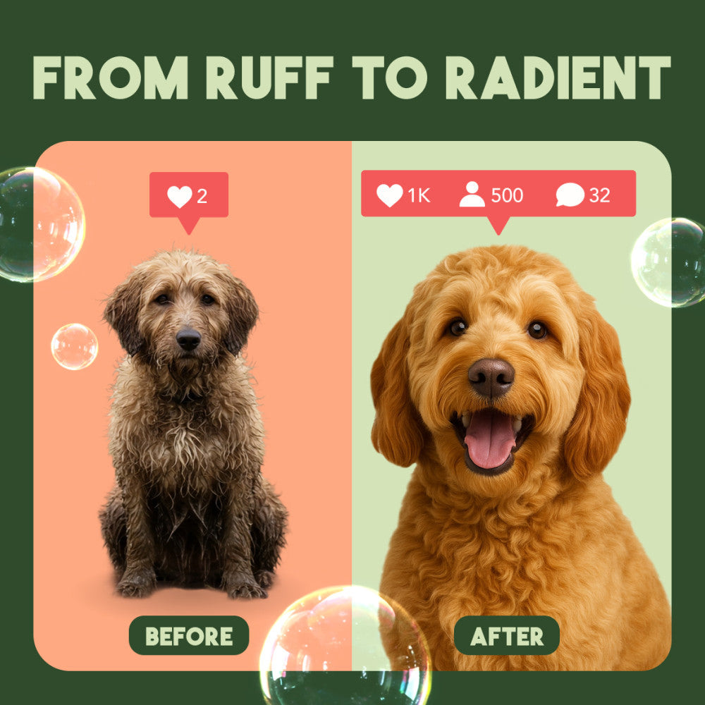 Before and after comparison of a dog with text 'From Ruff to Radiant' on a green background.