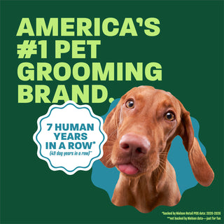 Vizsla head popping out. Text, 