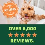 light green and green background, "Loved by millions" 5 star reviews.