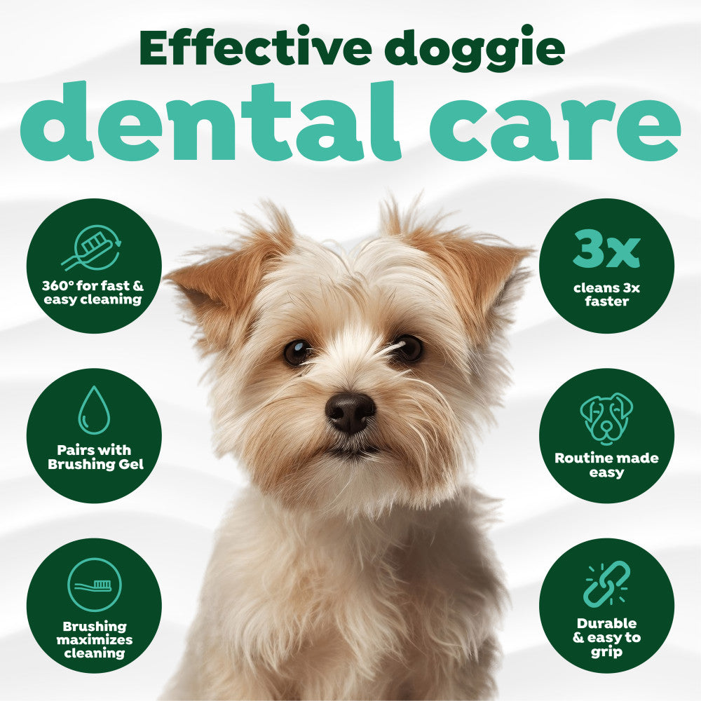 Dog with TropiClean Fresh Breath Dog Toothbrush, with features on a white background
