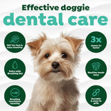 Dog with TropiClean Fresh Breath Dog Toothbrush, with features on a white background