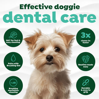 Effective dental care with features in green circles.