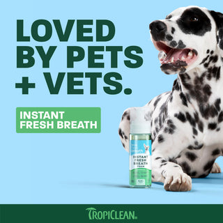 TropiClean Fresh Breath Instant Fresh Breath Pet Foam, 4.5oz