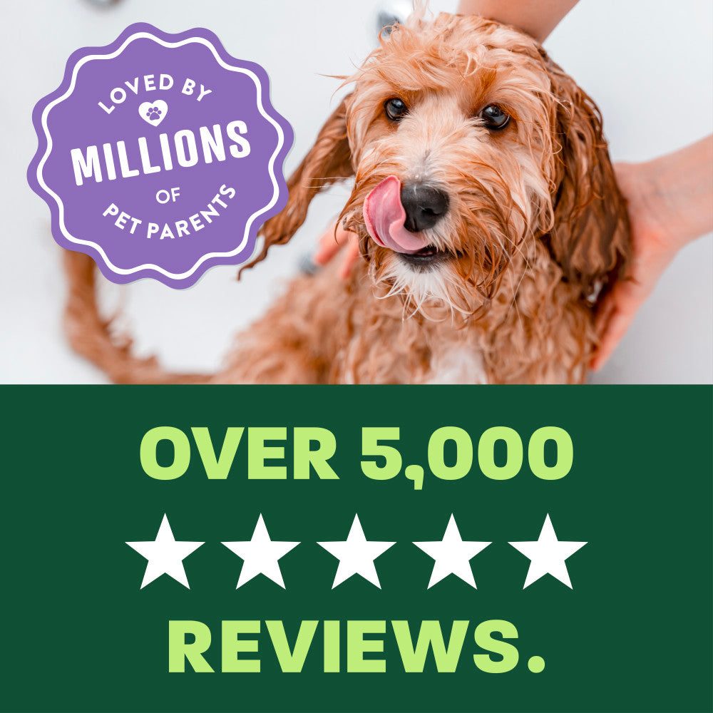 light green and green background, "Loved by millions" 5 star reviews.