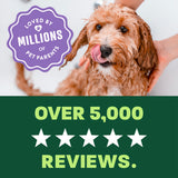 light green and green background, "Loved by millions" 5 star reviews.