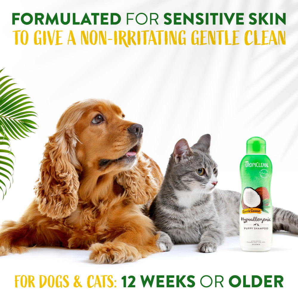 Dog and cat with TropiClean Gentle Coconut Hypoallergenic Puppy and Kitten Shampoo product, formulated for sensitive skin.