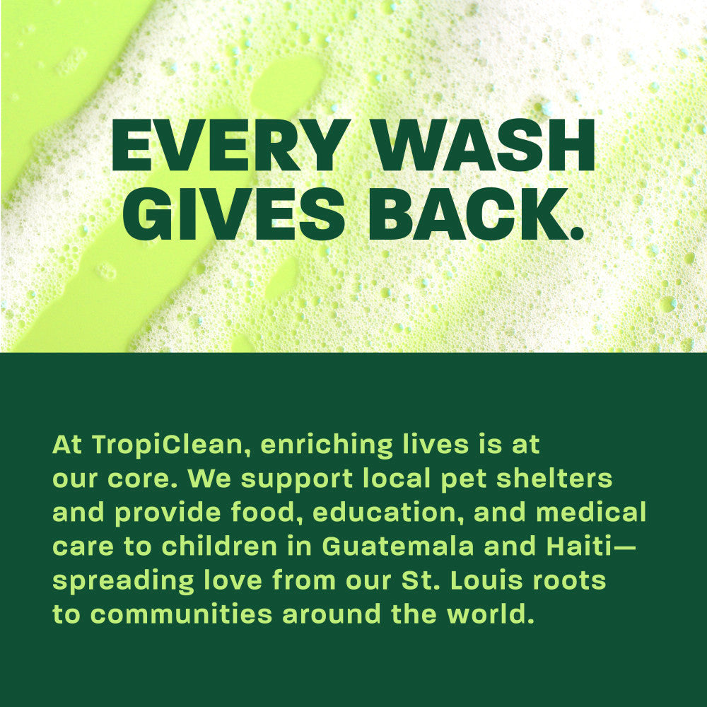 TropiClean Oatmeal & Tea Tree Medicated Itch Relief Shampoo for Pets