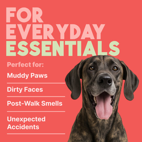 TropiClean Watermelon 2-In-1 Refreshing Wipes for Dogs & Cats. Dog with text 'For Everyday Essentials' on a red background