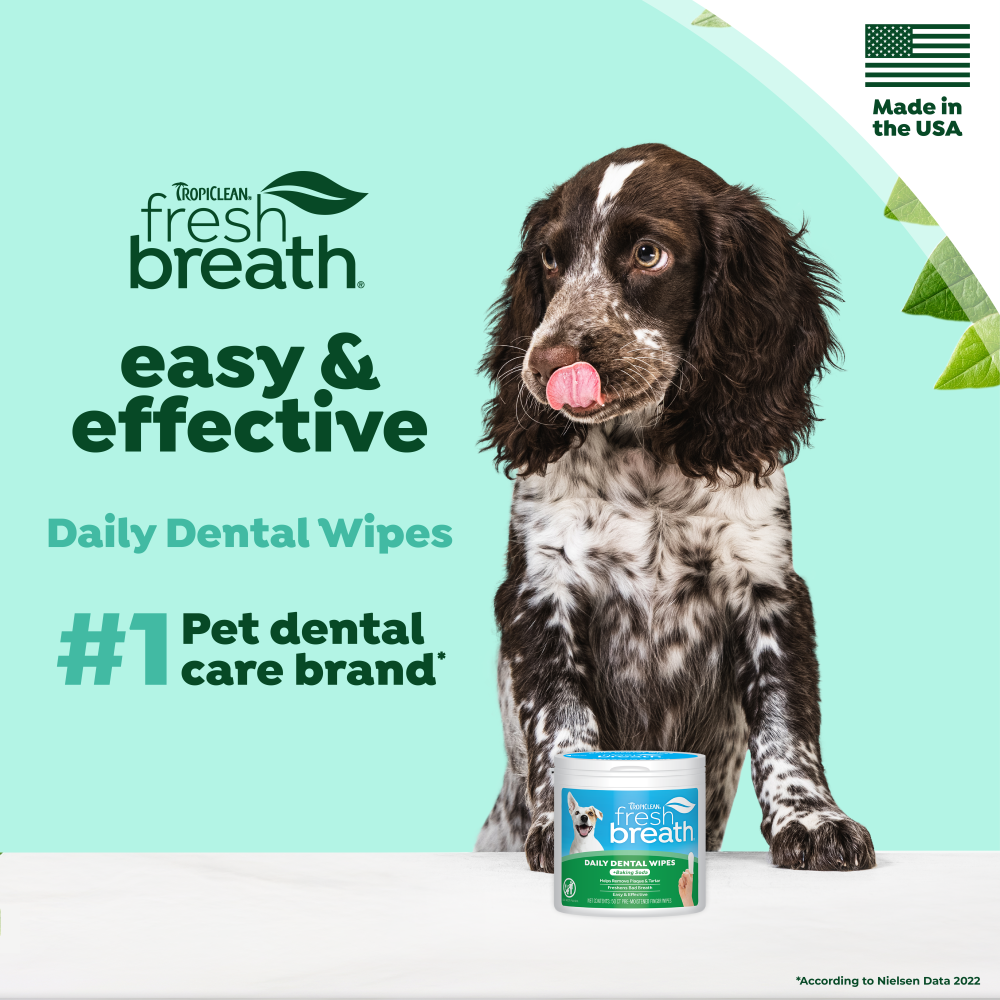 Dog with a container of TropiClean Fresh Breath Finger Dental Wipes for Pets