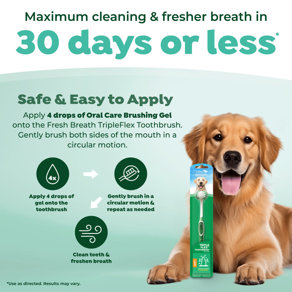 See cleaner teeth in 30 days or less. Safe & Easy to apply.