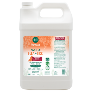 TropiClean Natural Flea and Tick Maximum Strength Shampoo for Dogs, 1 gal bottle.