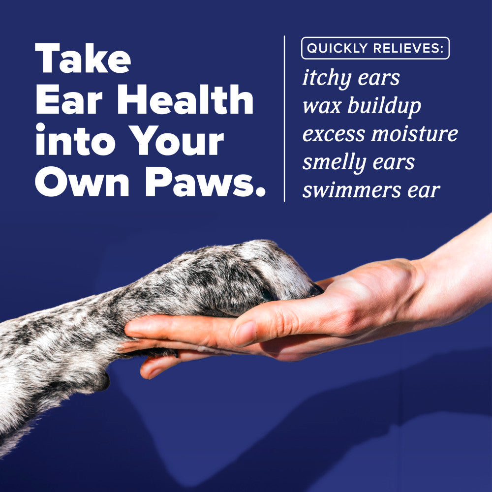 Dog paw being held by a human hand with text about TropiClean HomeVet Enzymatic Ear Wash for Cats & Dogs