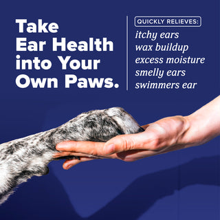 Dog paw being held by a human hand with text about TropiClean HomeVet Enzymatic Ear Wash for Cats & Dogs