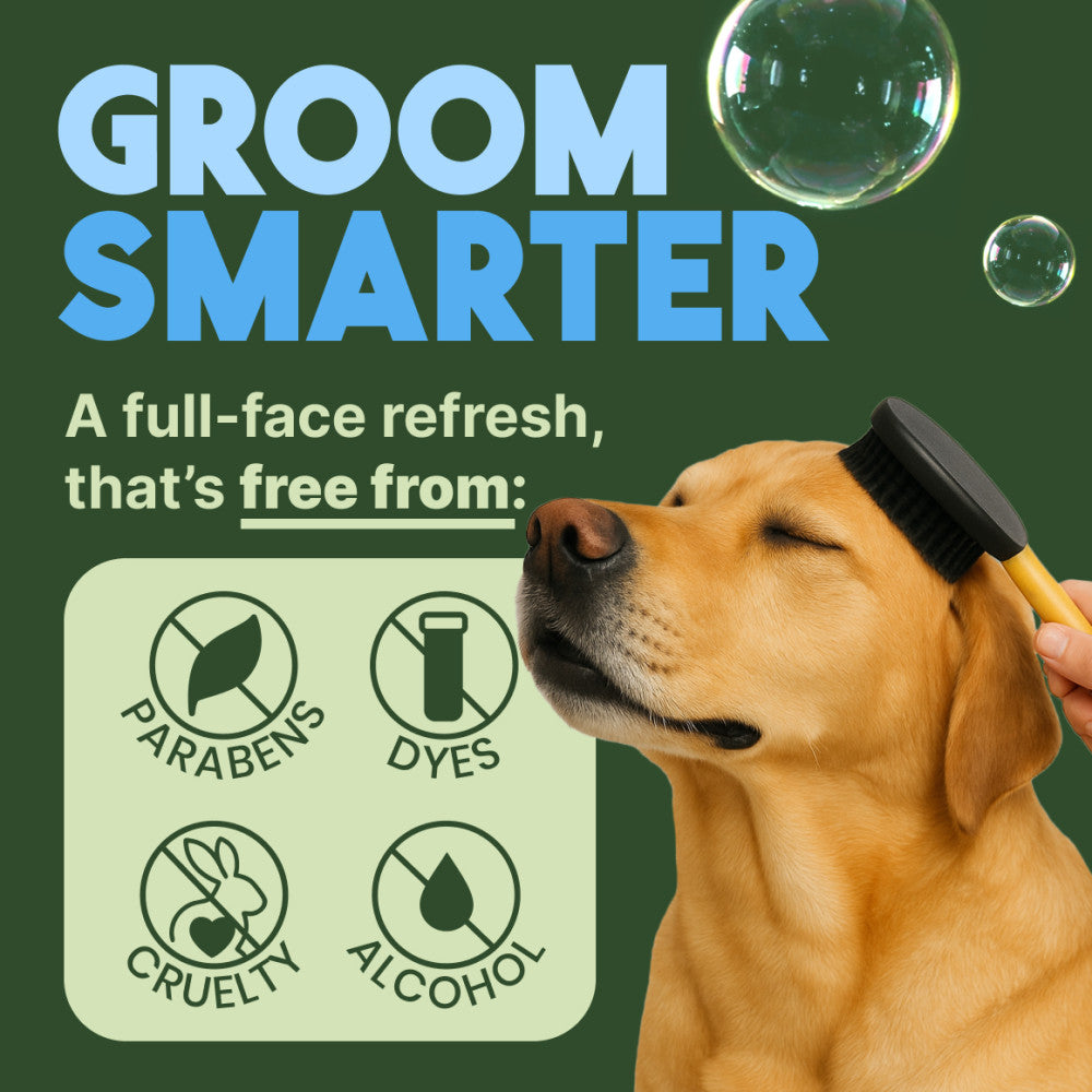 Dog being groomed with a brush, featuring 'Groom Smarter' text and ingredient-free icons