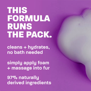 This formula runs the pack.
