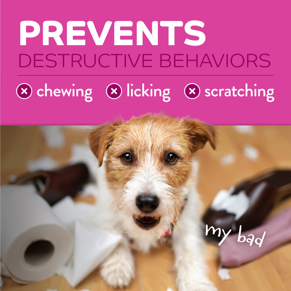 TropiClean Chew Stop Behavior Aid Dog & Home Spray. Dog with destructive behaviors text on a pink background