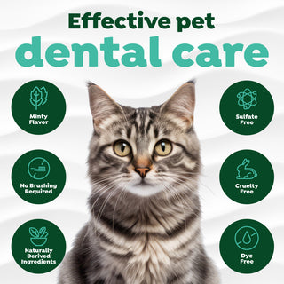 TropiClean Fresh Breath No Brushing Dental & Oral Care Gel for Cats. Cat with dental care product features on a white background