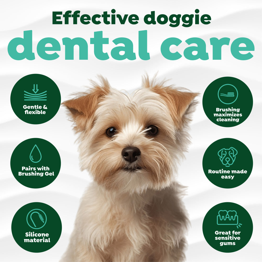 Effective dental care with features in green circles.