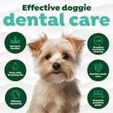 Effective dental care with features in green circles.