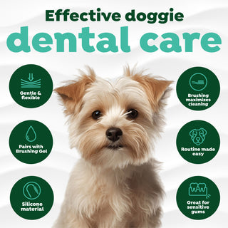 Effective dental care with features in green circles.