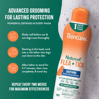 Tropiclean Natural Flea + Tick soothing dog shampoo bottle with usage instructions on a green background
