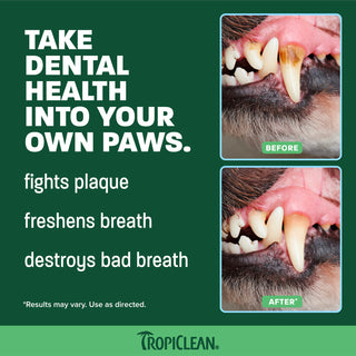 TropiClean Fresh Breath Soft Mint Plaque & Tartar Control Kit for Small/Med Dogs, 2oz