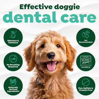 TropiClean Fresh Breath Pet Water Additive. Dog with dental care product features and benefits on a white background