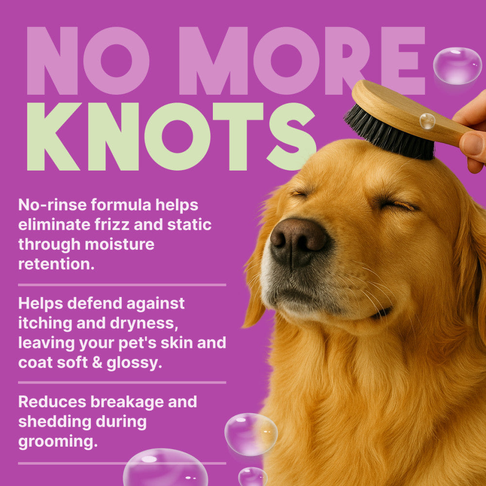 Dog being groomed with a brush on a purple background with text about a no-rinse grooming formula.