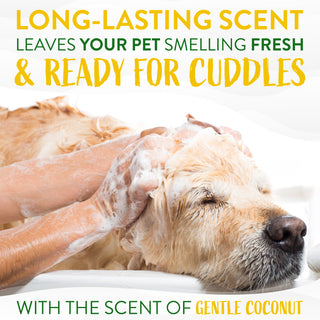 Dog being washed with TropiClean Gentle Coconut Hypoallergenic Puppy and Kitten Shampoo, text about long-lasting coconut scent.