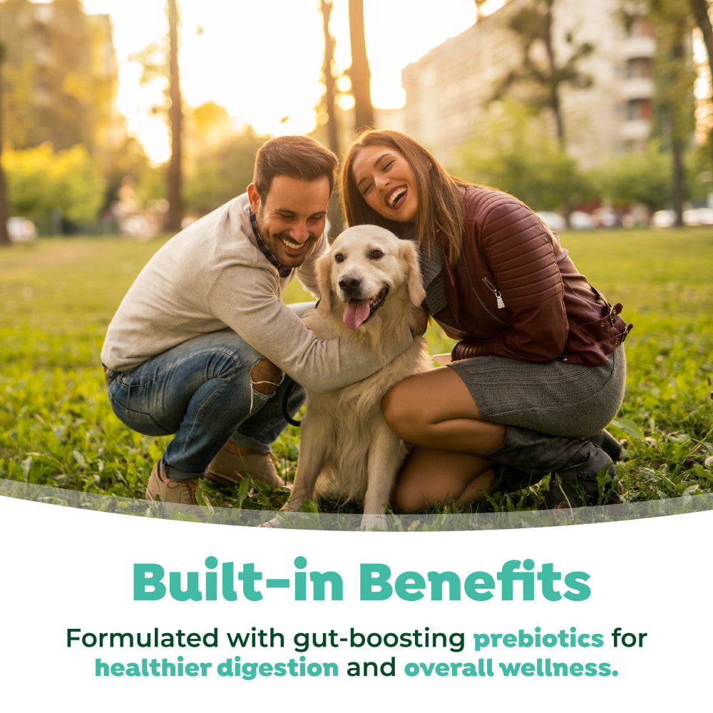 Man and woman with a dog in a park, promoting TropiClean Fresh Breath Dental Water Additive Plus Gut Health for Dogs