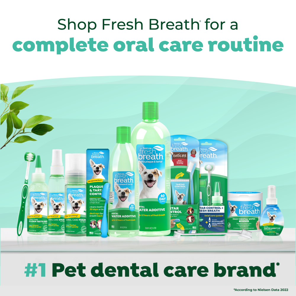 Collection of TropiClean Fresh Breath pet dental care products and text promoting fresh breath for a complete oral care routine.