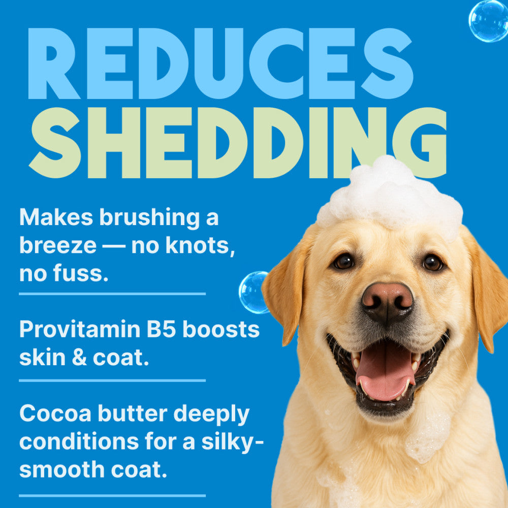 Dog with soap bubbles on a blue background with text about reducing shedding and improving coat health.