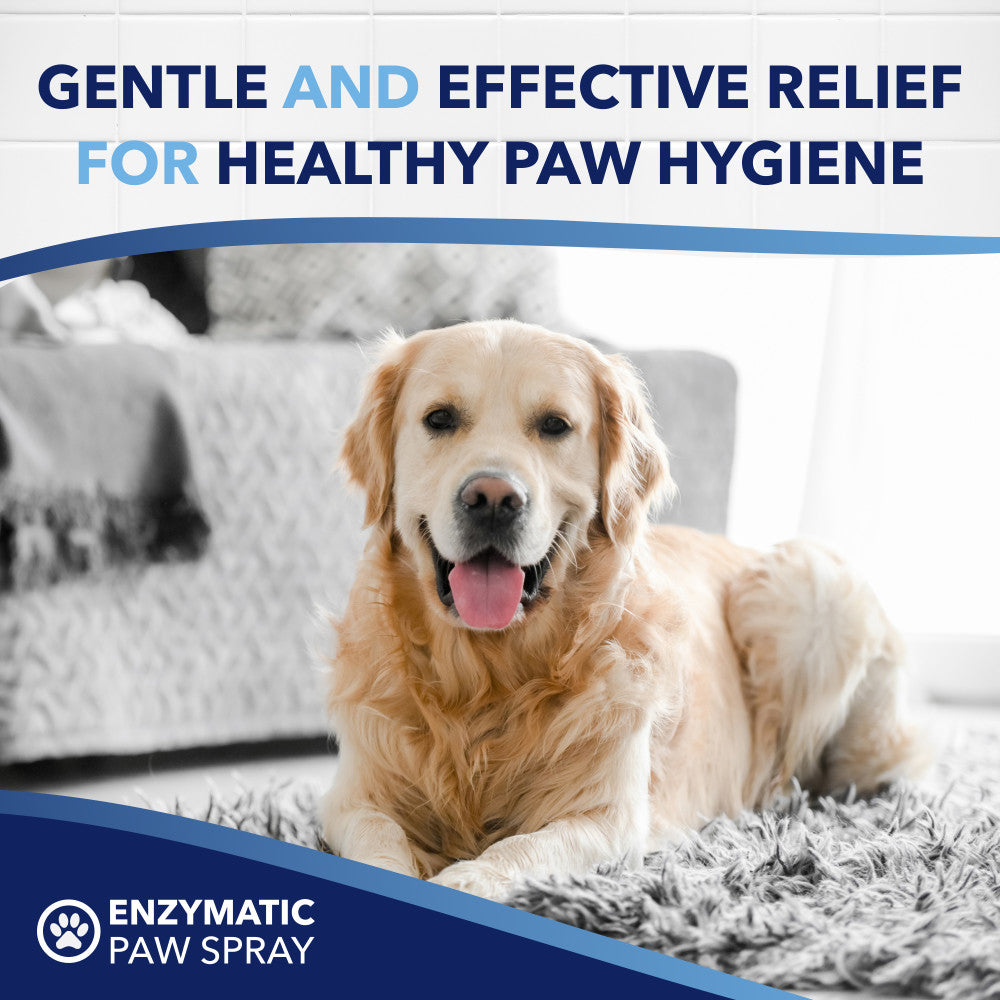 Dog lying on a carpet with text about gentle and effective relief for healthy paw hygiene, featuring TropiClean OxyMed Enzymatic Paw Odor and Itch Pet Spray